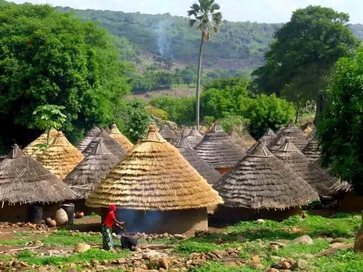 TAPNA MASSANA