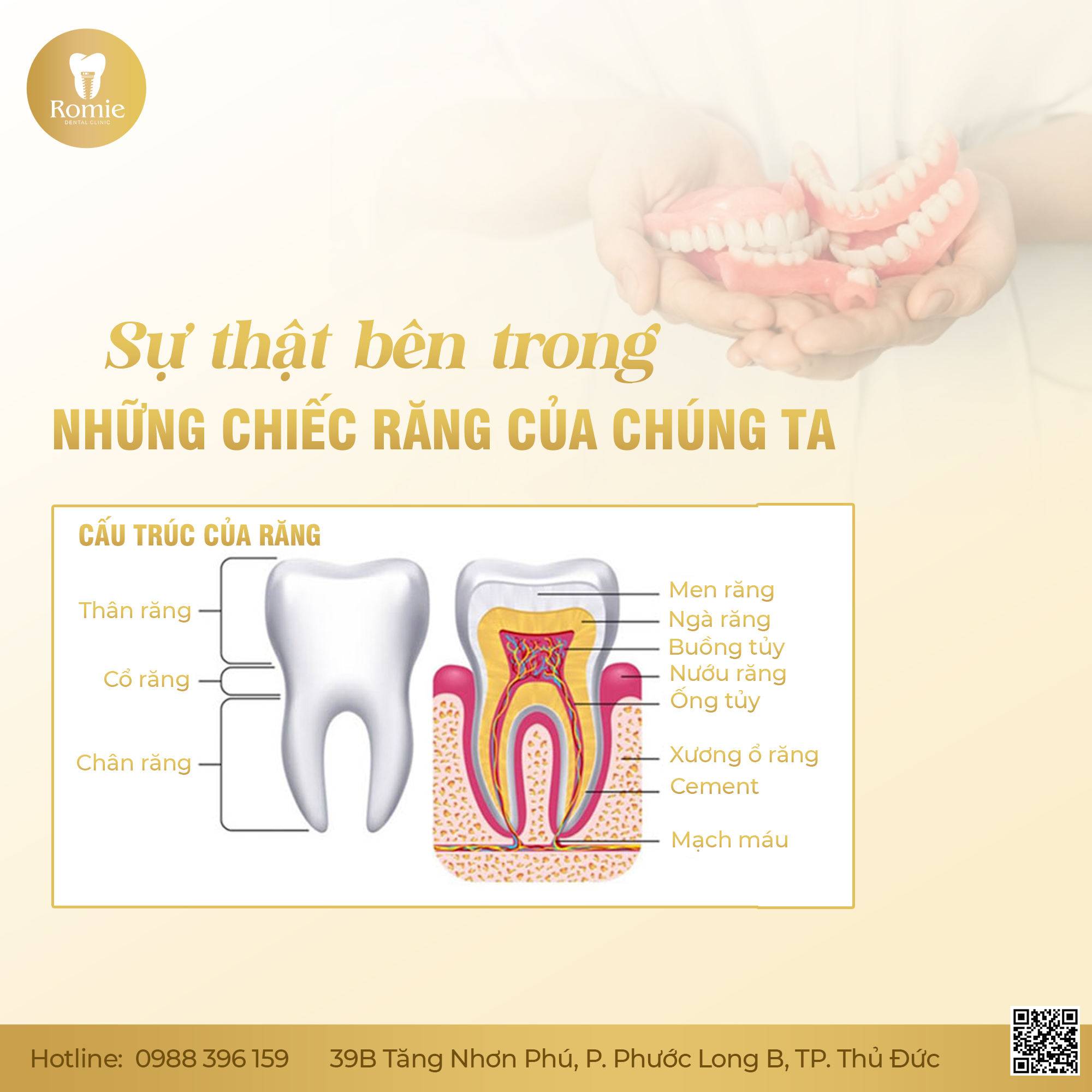 SỰ THẬT BÊN... - Nha khoa Romie - Nha khoa bác sĩ Phúc Đạt | Facebook