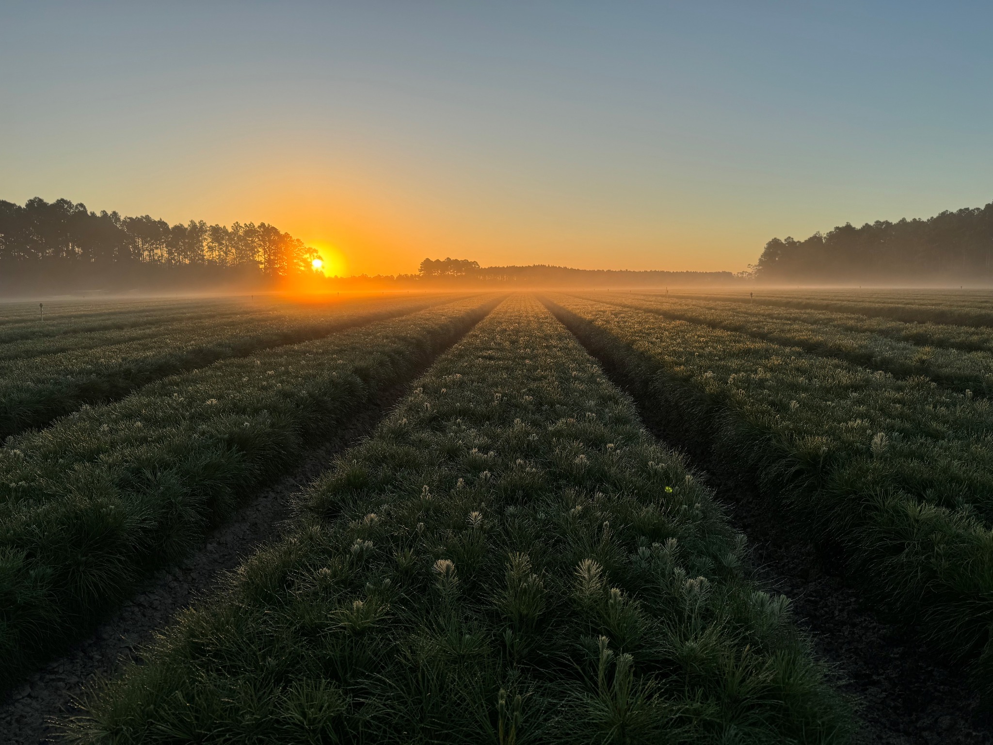PRT Growing Services | Armstrong BC