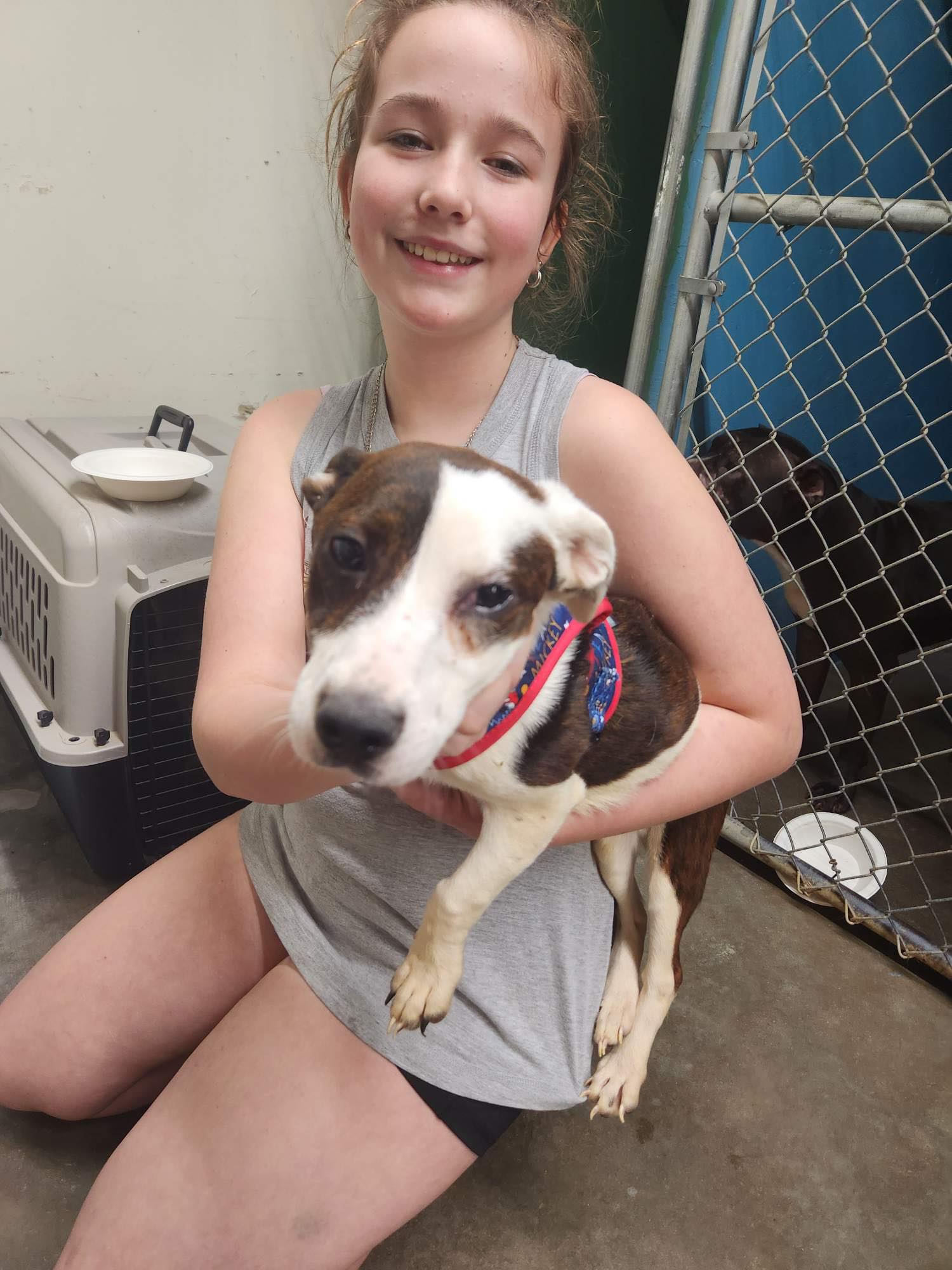 Jak's Second Chance... - Jak's Second Chance Rescue Ranch