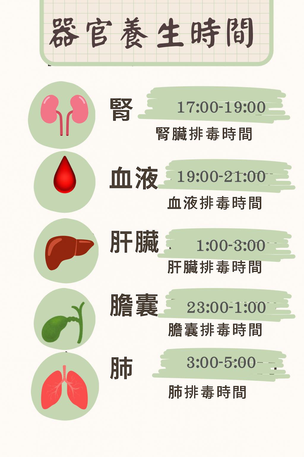 至和中醫。至和樂生活 - 每天身體都在默默努力排毒💪 按照時間保養，讓五臟六腑都開心工作～ 💚17:00 腎臟排毒 ️19:00 血液淨化 💛 ...