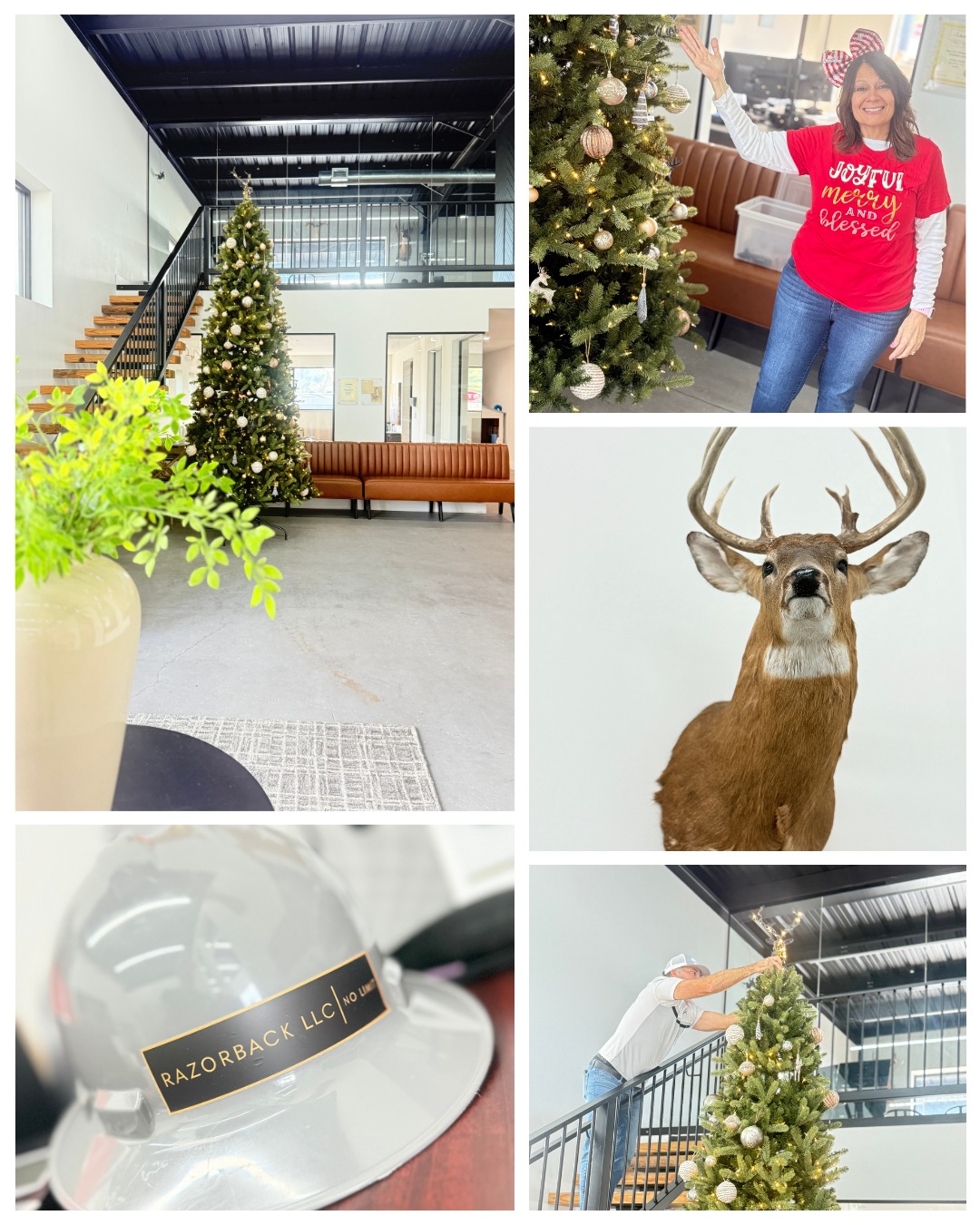 Razorback - The Razorback family is officially in the Christmas spirit ...