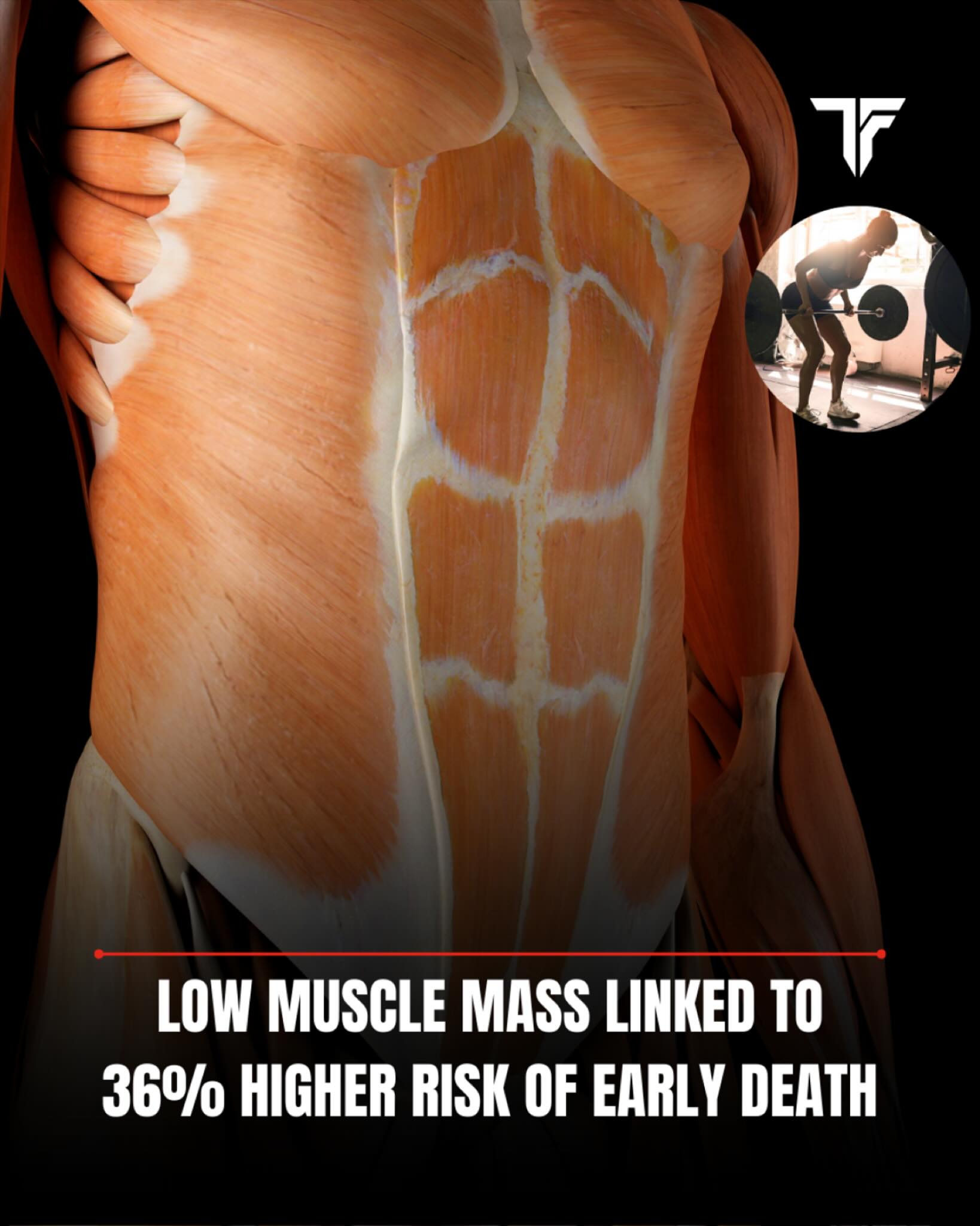 Thefarmacyreal - A study revealed that low muscle mass is linked t a 36 ...