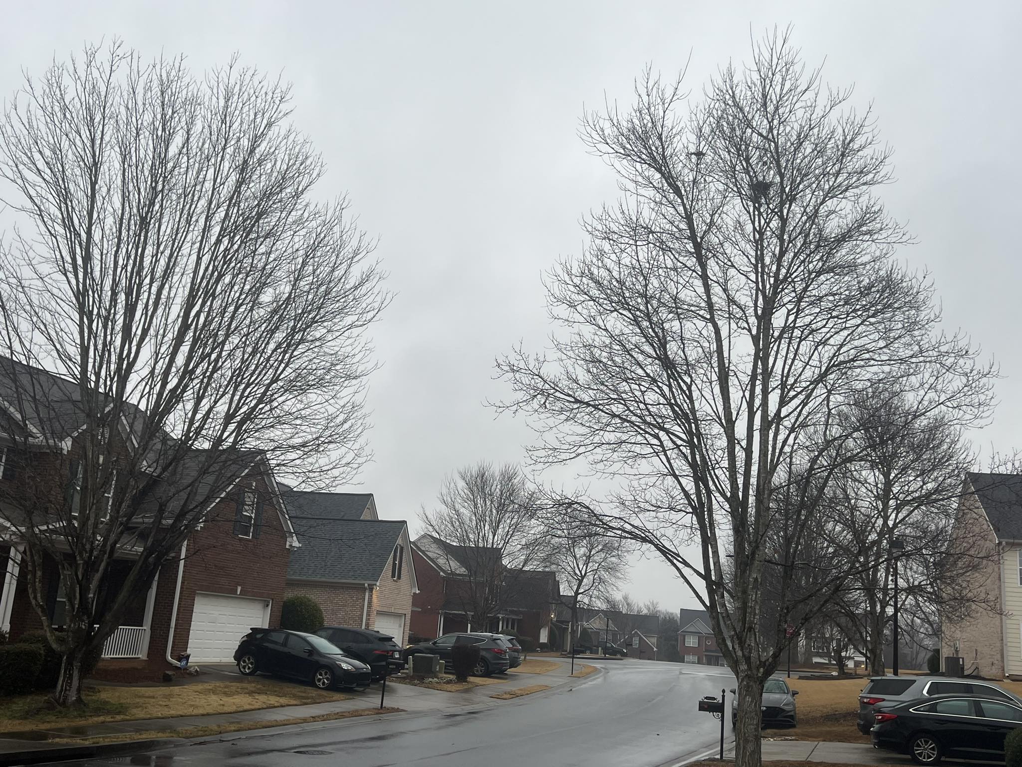 North - Cloudy, patchy fog, cool and drizzle in Braselton this morning ...
