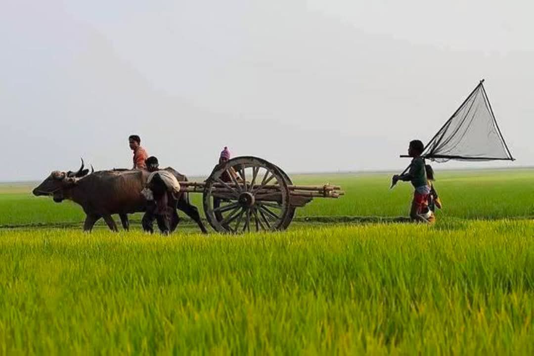 Priyo Bangladesh - প্রিয় বাংলাদেশ