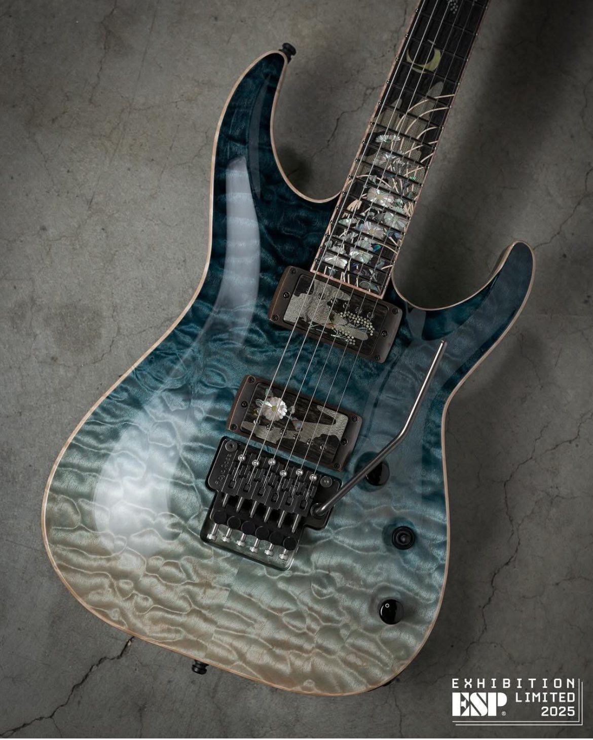ESP HORIZON CTM エレキギター EX25-11 HORIZON-CTM FR #espguitars #espguitarsjapan