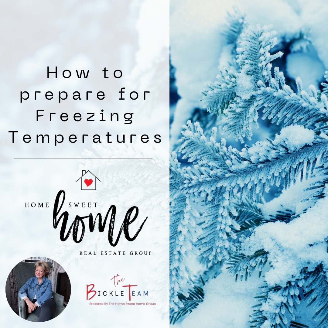 Julie Bickle - Freeze prep check! ️💙 Comment READY if... | Facebook
