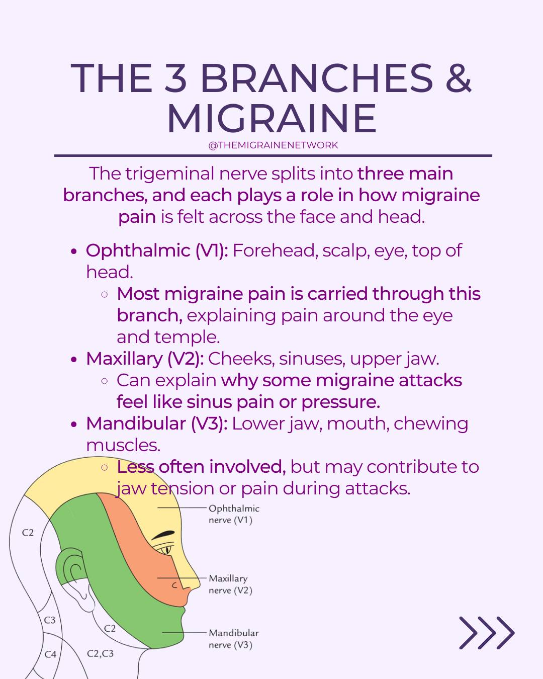 Down The Rabbit Hole: Life With Chronic Daily Migraine and Depression