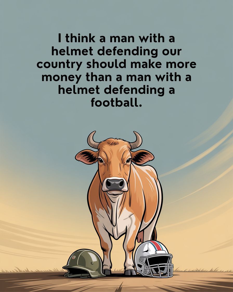 bull cow wearing football helmet for Highland Cow Football: Over 1,070 Royalty-Free