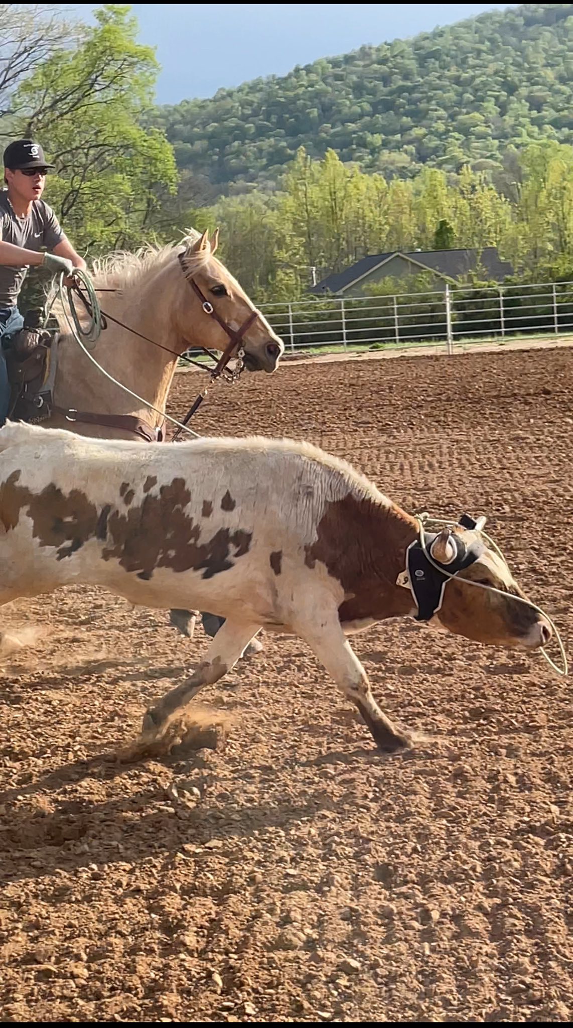 Hurricane Hollow Ranch LLC... - Hurricane Hollow Ranch LLC
