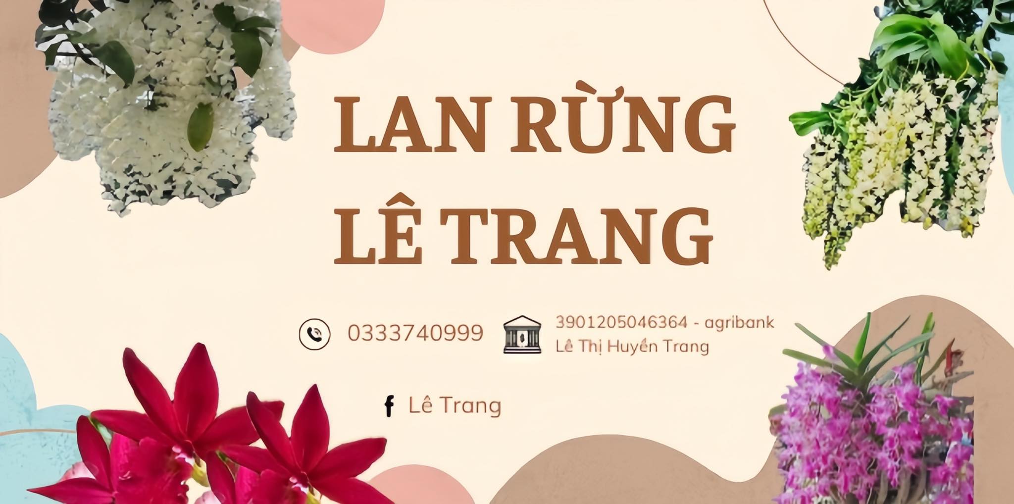 Lan Rừng Lê Trang