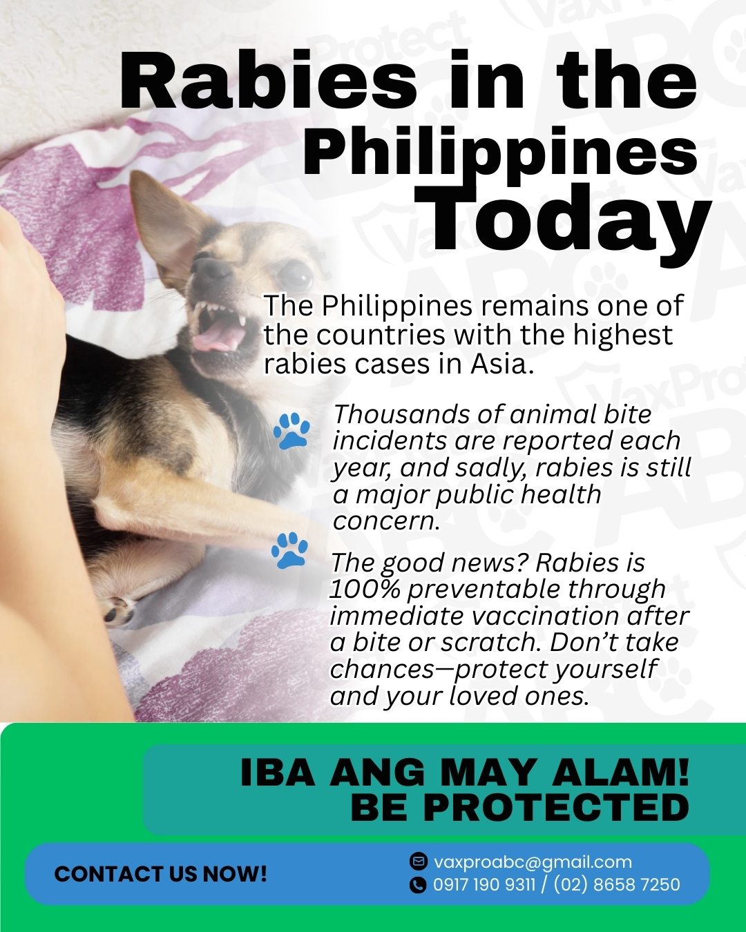 VaxProtect - ⚠️ Rabies in the Philippines Today Did you know? The ...