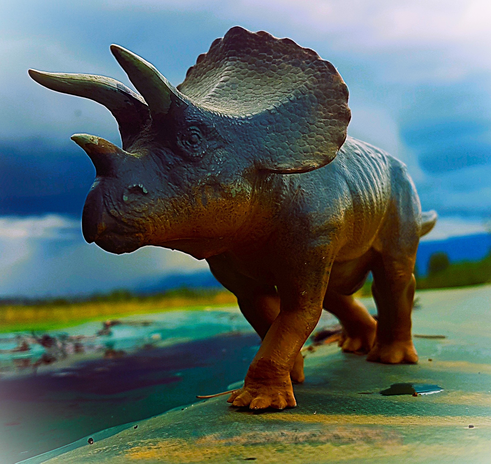 Triceratops model from 1938