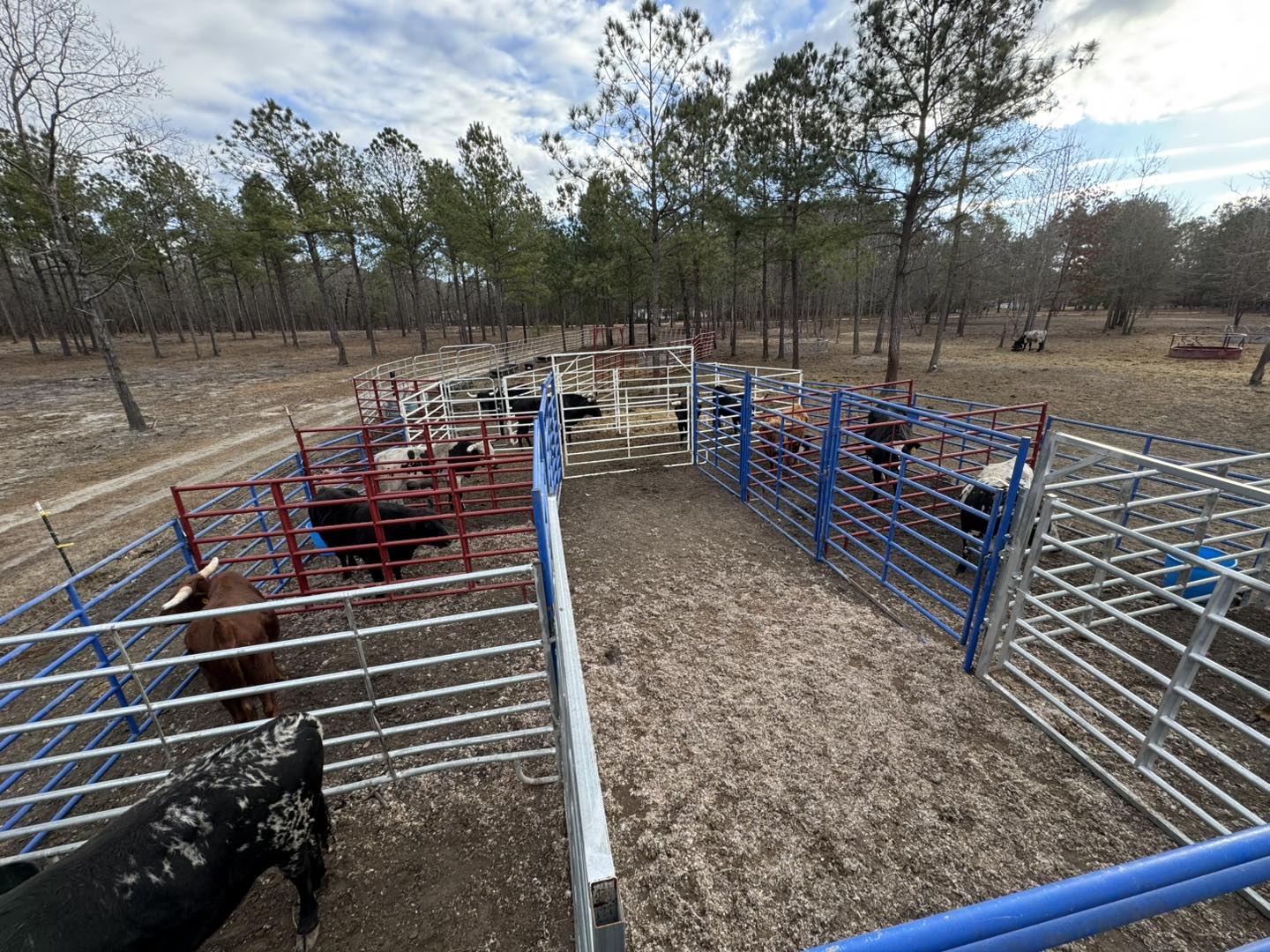 Everyone's loaded up in their... - The Sleepy Moon Ranch | Facebook