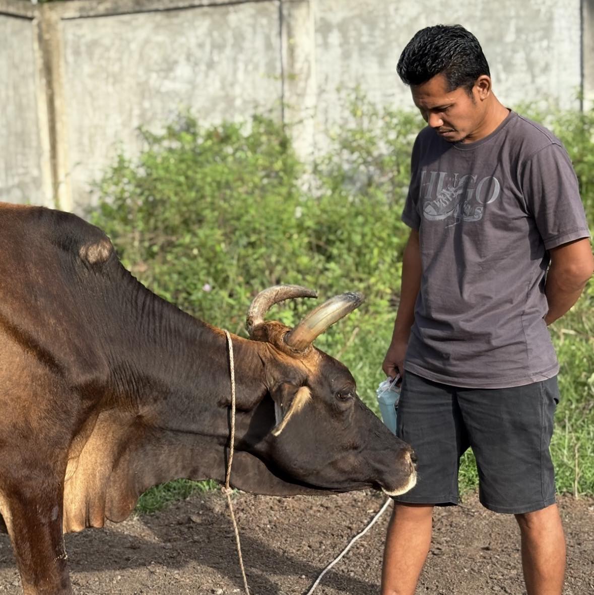 Owner Permata Sapi