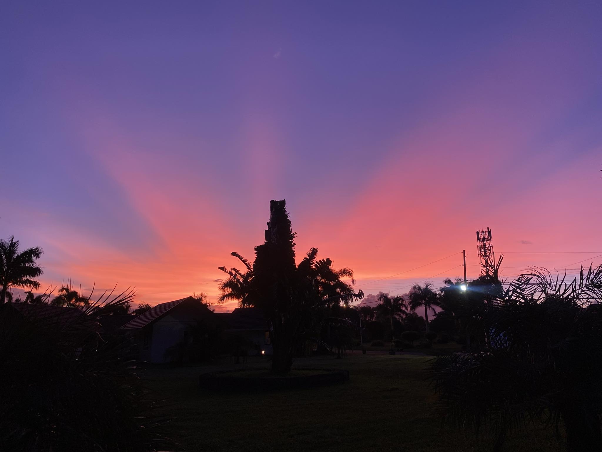 Villa Del Rey Hotel and Resort | Pili