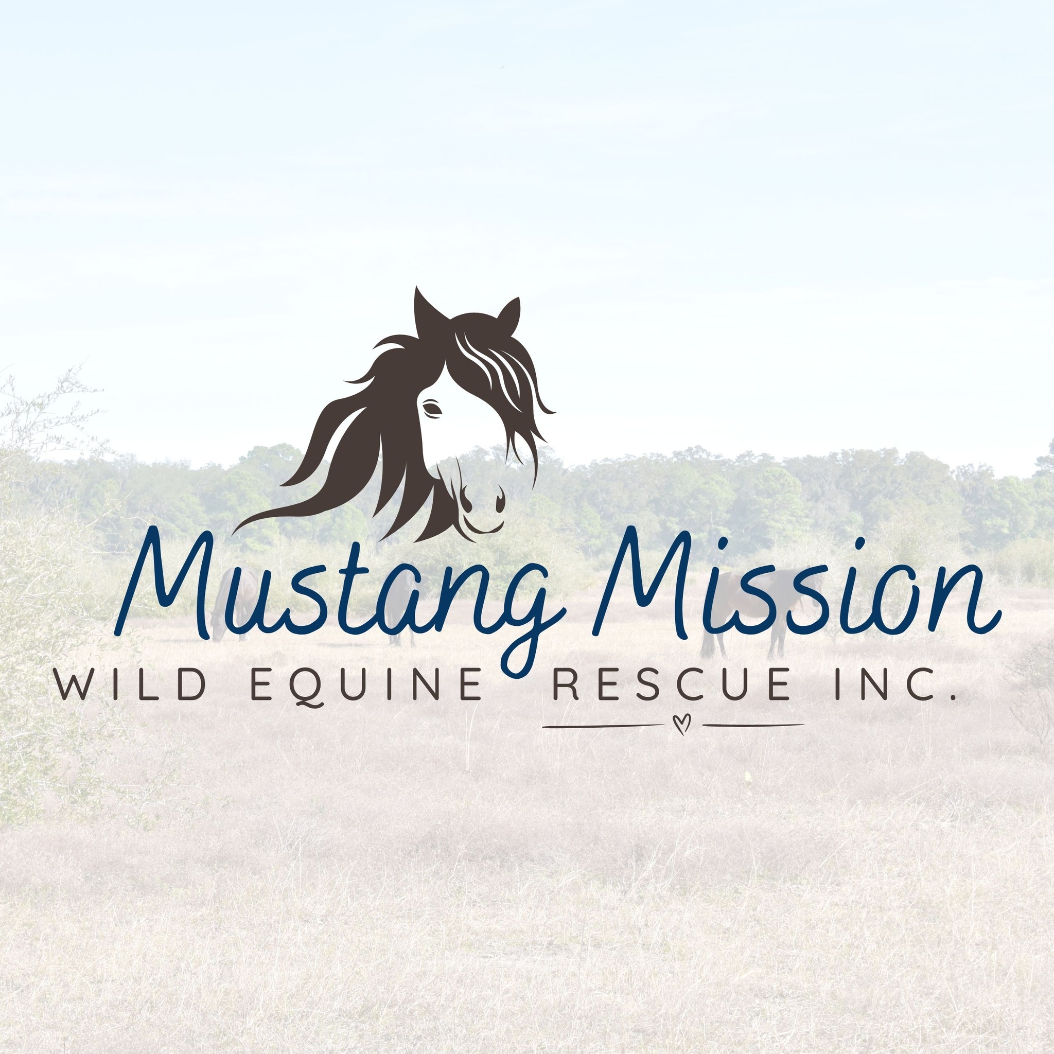 What's it like to rescue wild horses and donkeys? 🧐 #horselife # ...