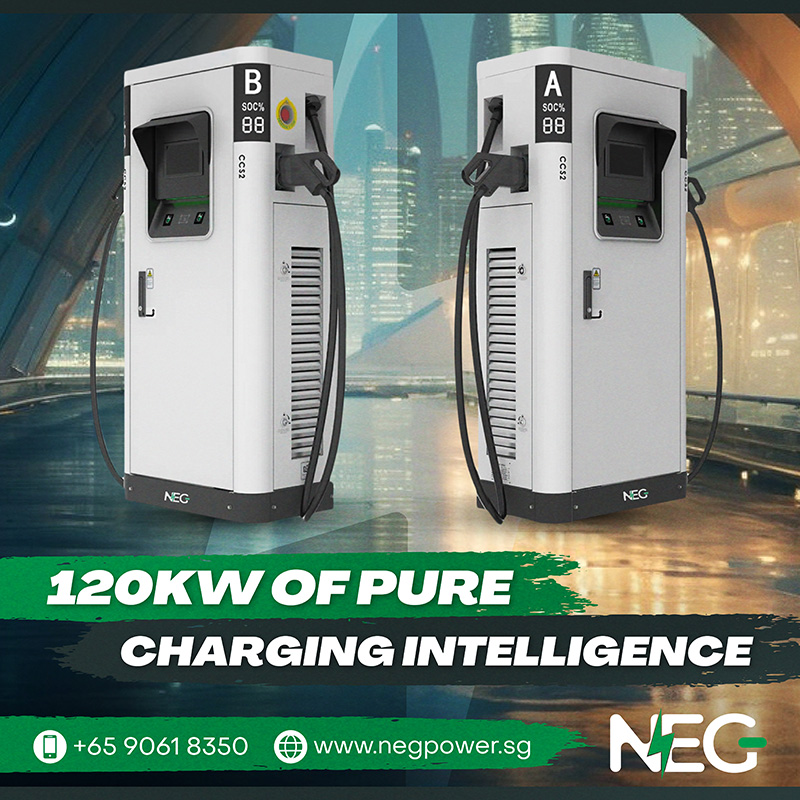 NEG Power Pte. Ltd. | Singapore Singapore