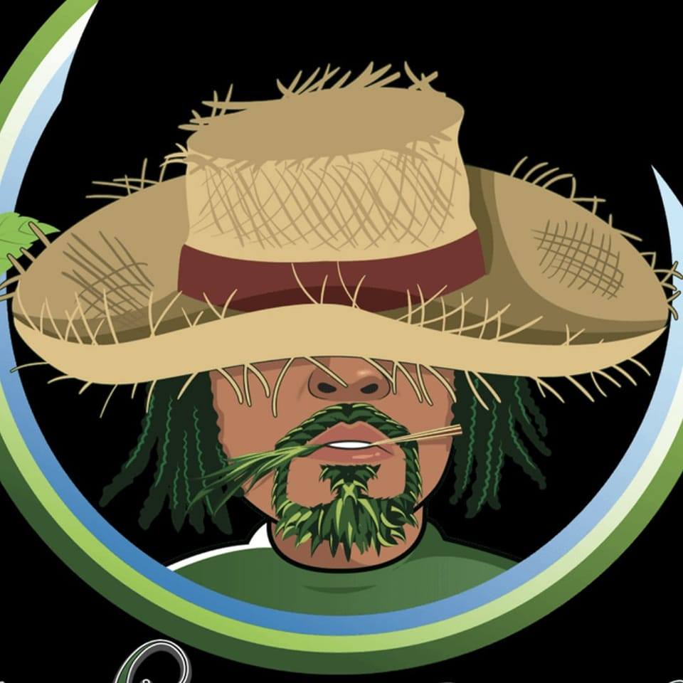 Dengue Fever infections continue... - The Weeds and Seeds Guy | Facebook