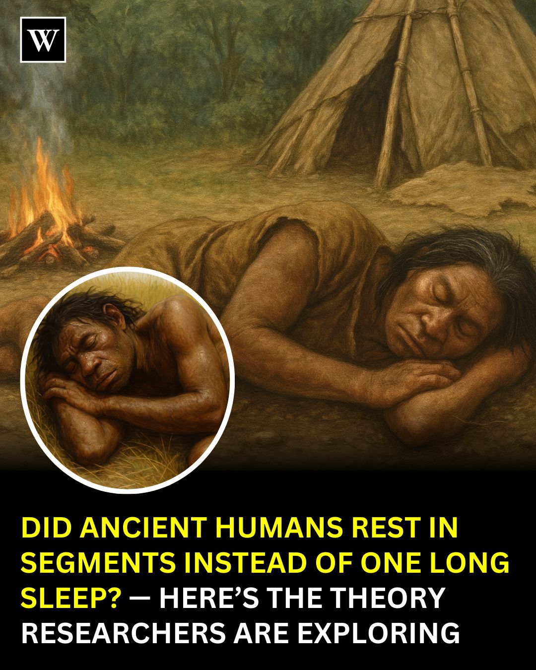 Webpreneurships - What if the way we sleep today isn’t the way humans ...