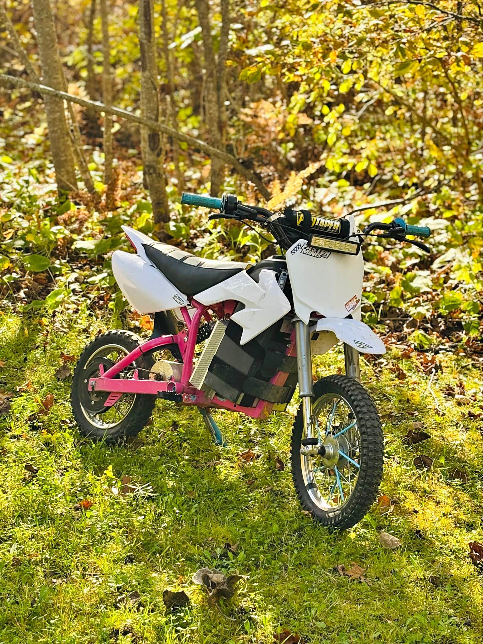 2020 Razor mx500 48v
