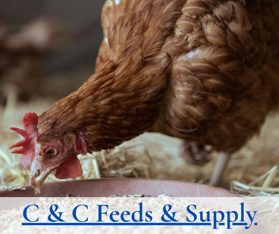 🫘🐓 Quality Feed for Every Animal on... - C & C Feeds & Supply | Facebook