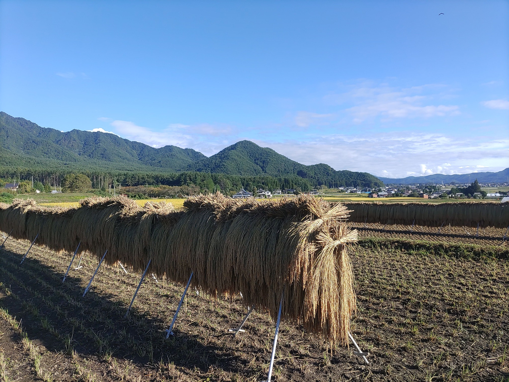 あはひ田畑（あわいたはた）
