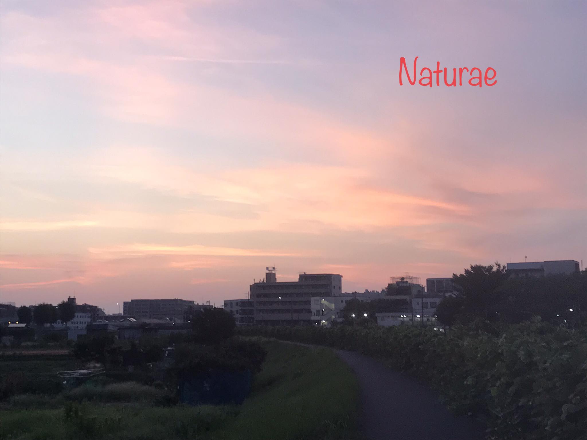 おはようございます♪素敵な一日になりますように。Good Morning! Wish 