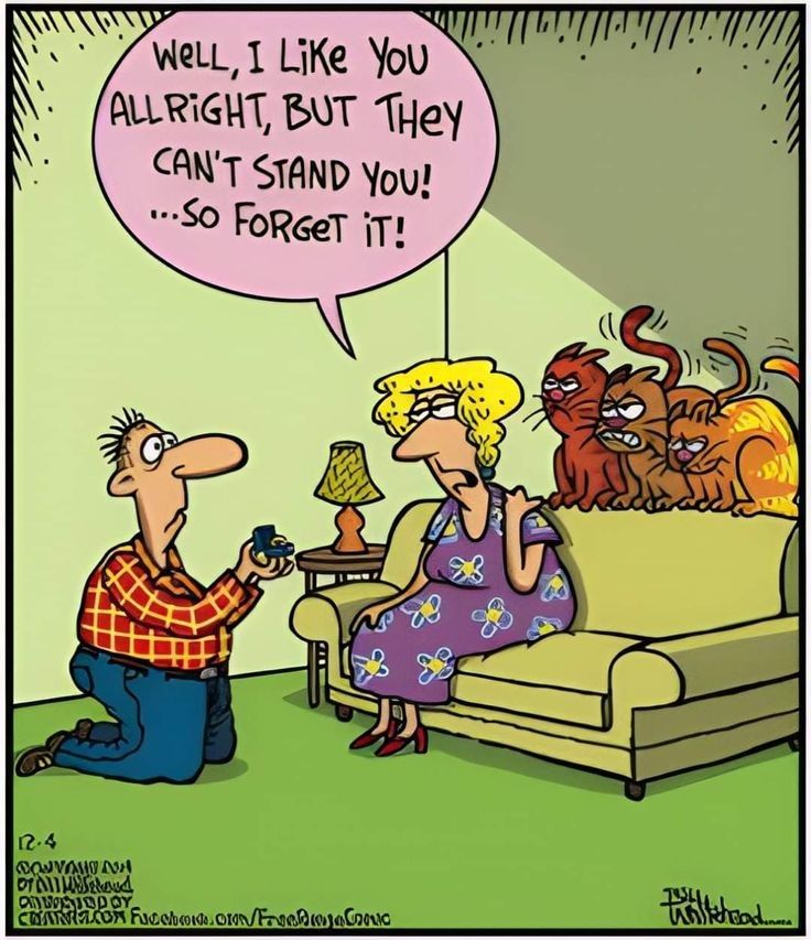 Humorous Cartoon | Facebook