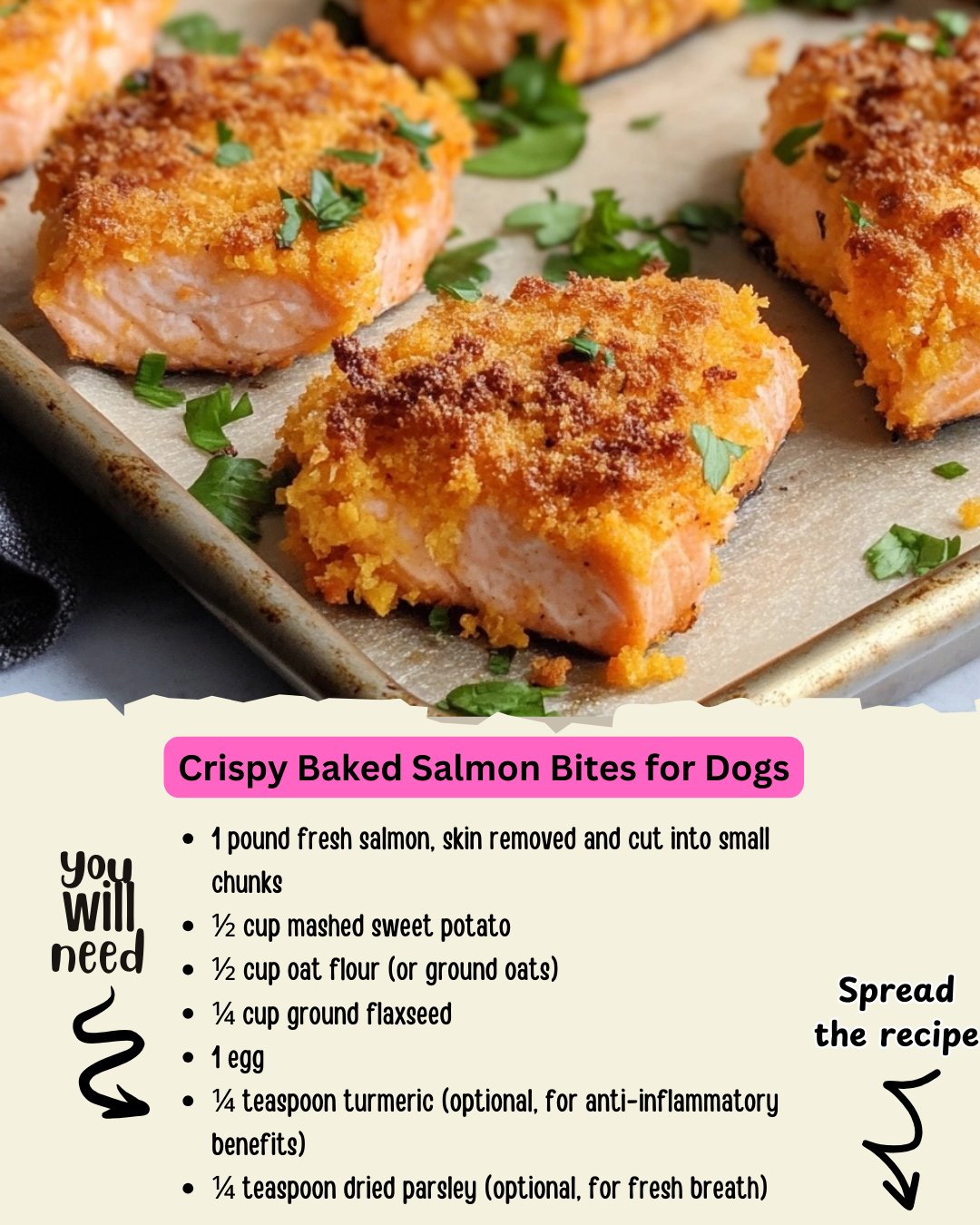 Is Cooked Salmon Skin Good for Dogs: Benefits & Risks