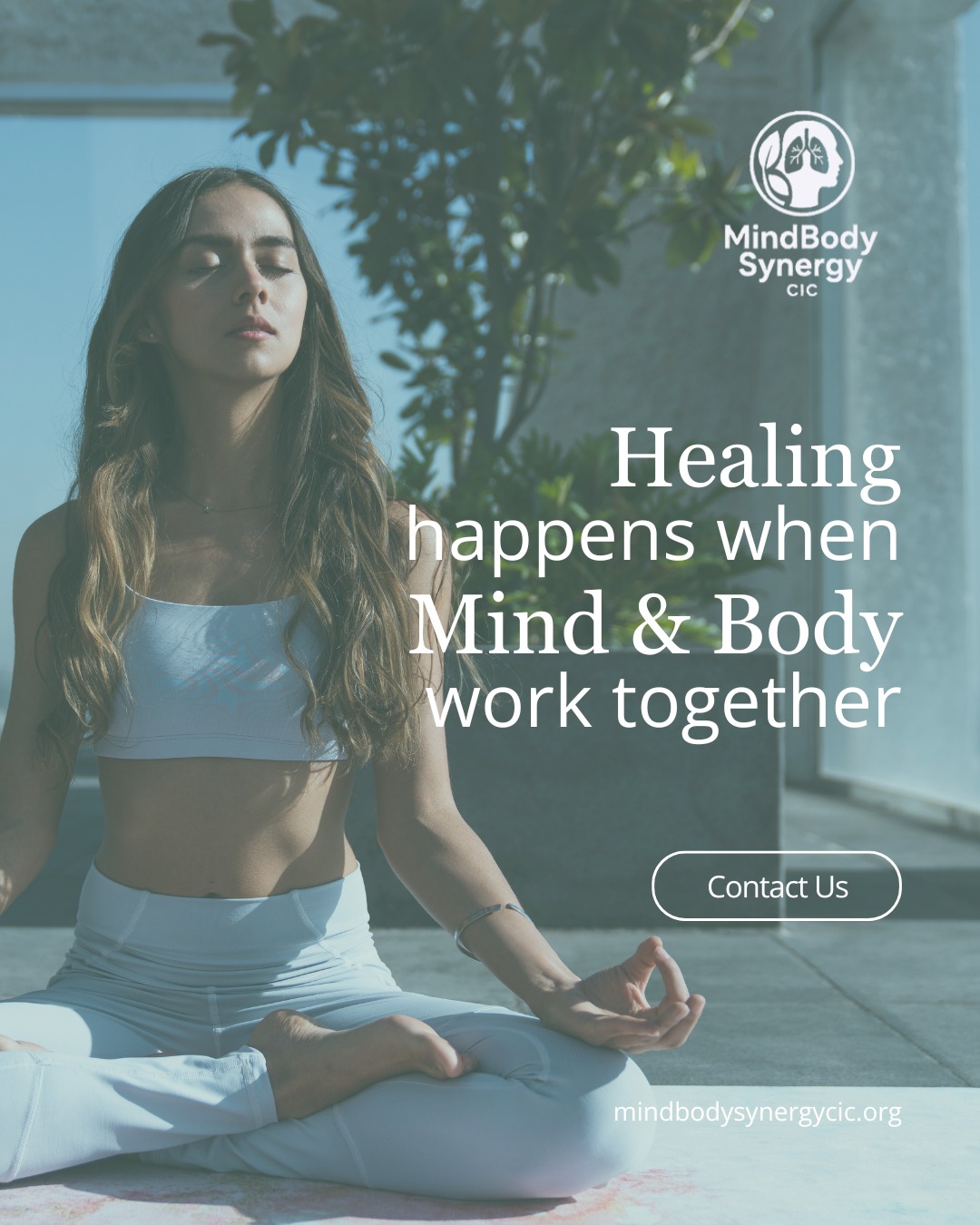 MindBody - We believe trauma and chronic illness are deeply connected ...