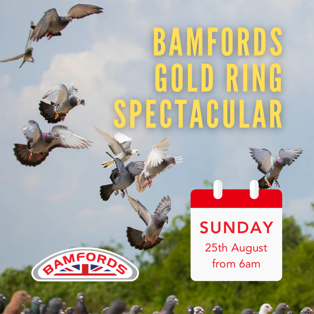 ever-wondered-what-r-e-bamford-ltd-manufacturing