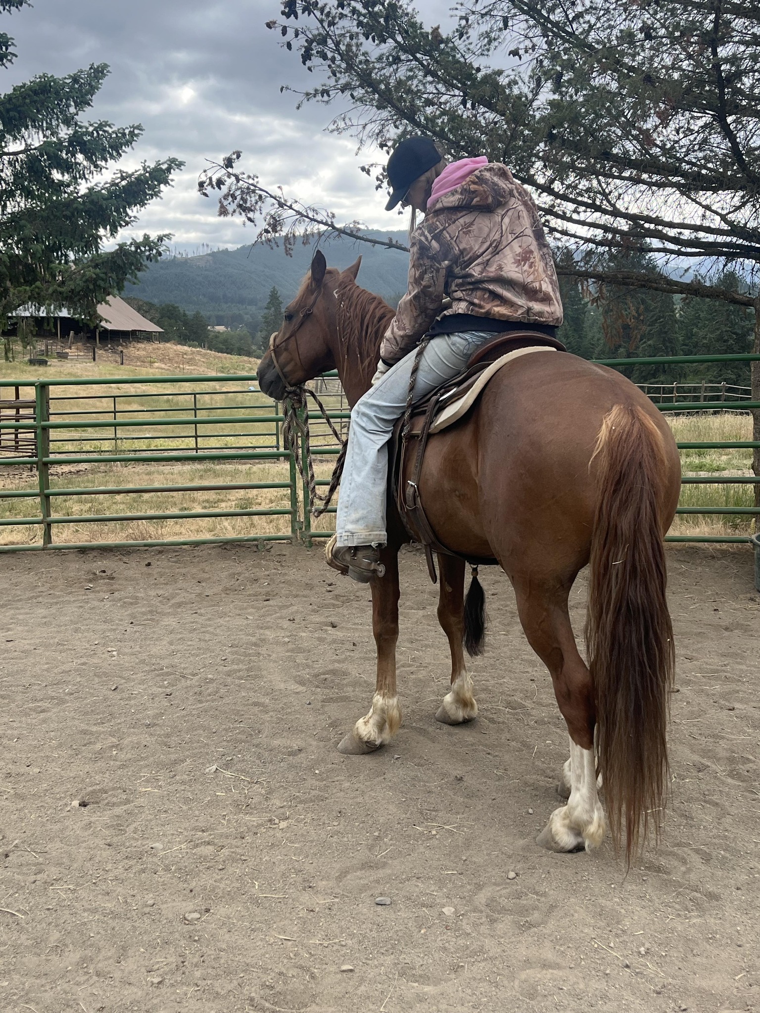 Mountain Range Mustangs- Emily Hall & Rango
