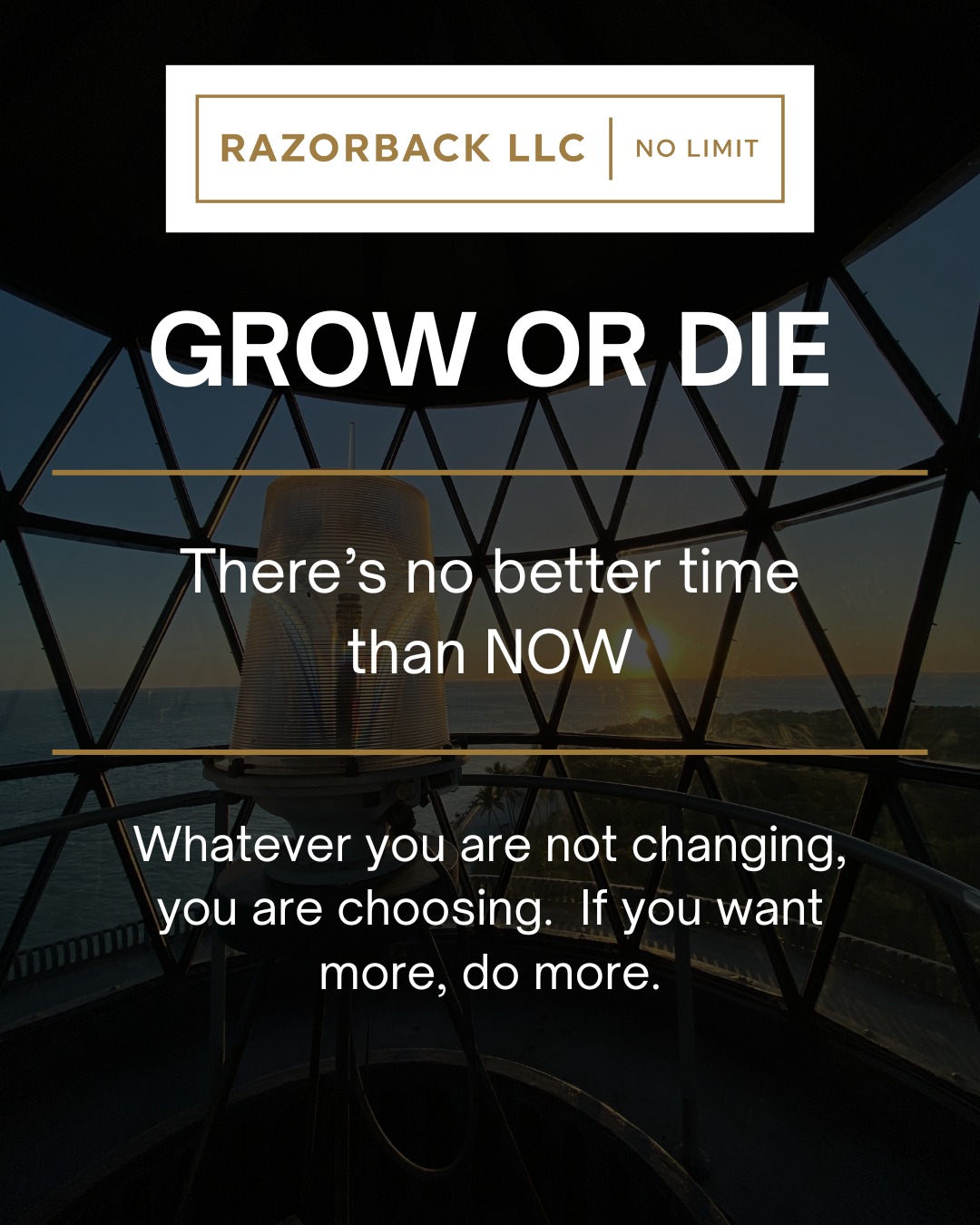 Razorback LLC | Tarpon Springs FL