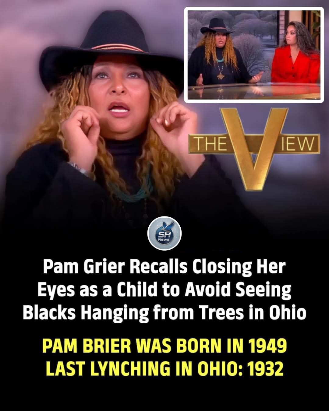 Shamim - Pam Grier is facing criticism after claiming on The View that ...