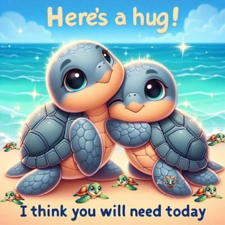 I Love Turtle | Facebook