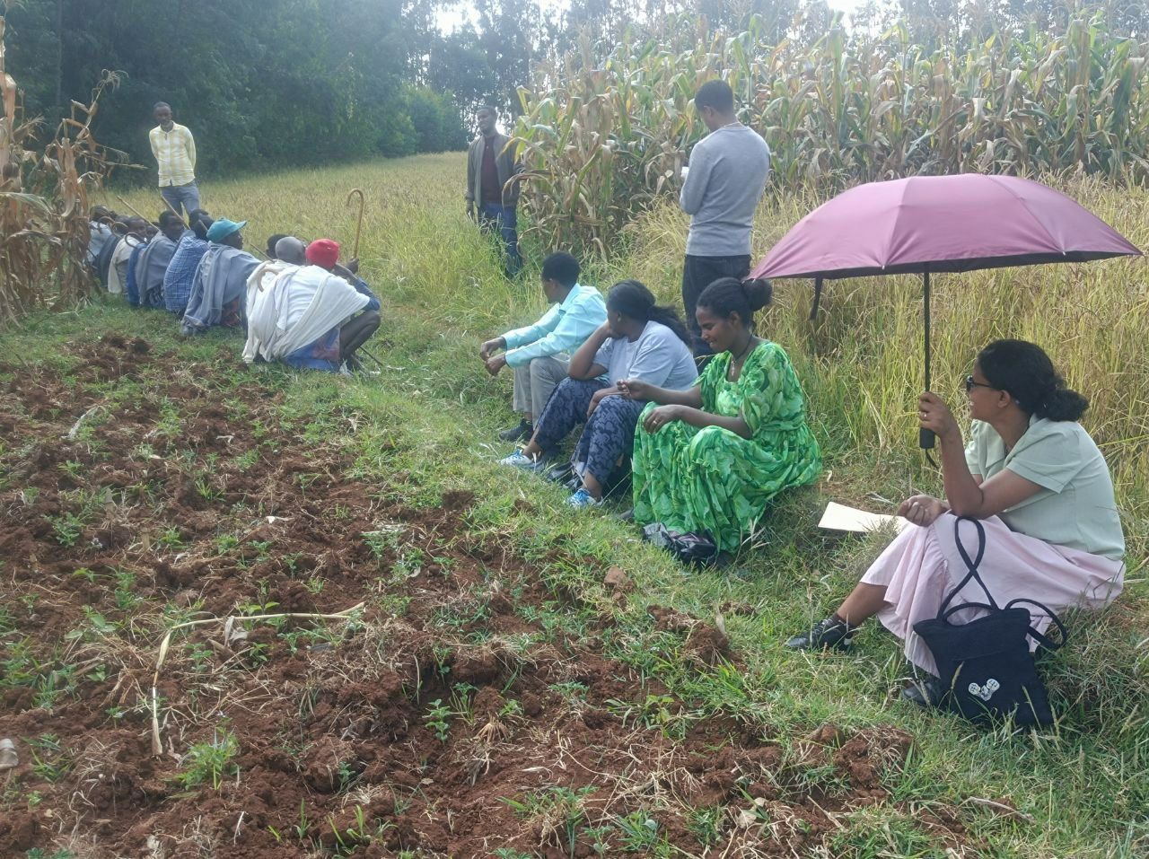 Fogera... - Fogera National Rice Research and Training Center