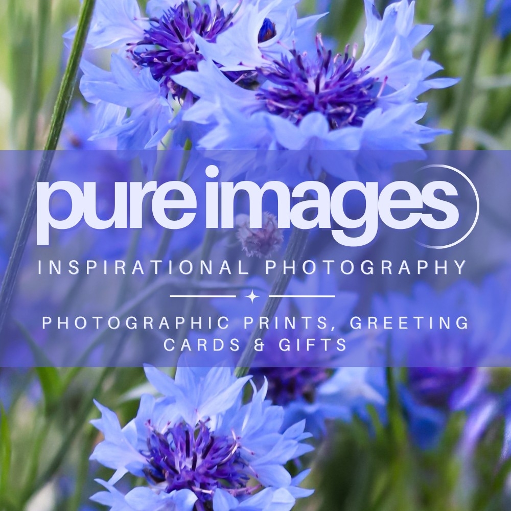 Pure Images