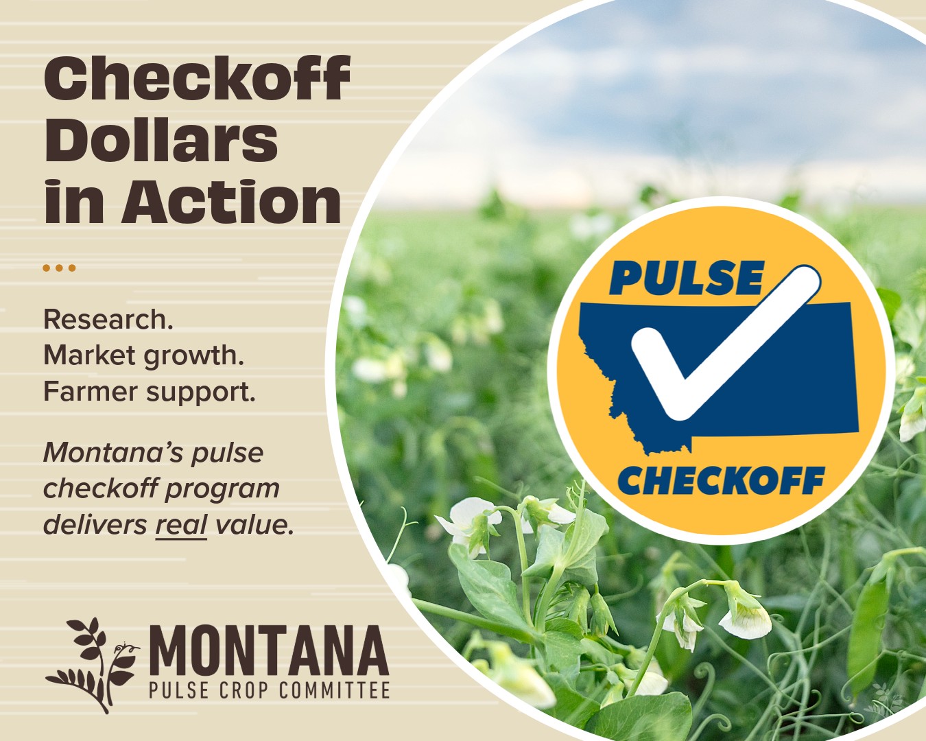 Montana Pulse Crop Committee | Great Falls MT