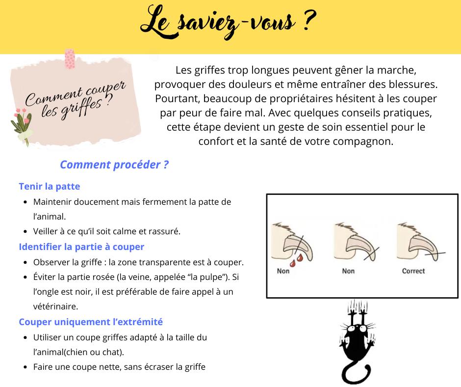 Cabinet vétérinaire BeVet - Soignies | Soignies