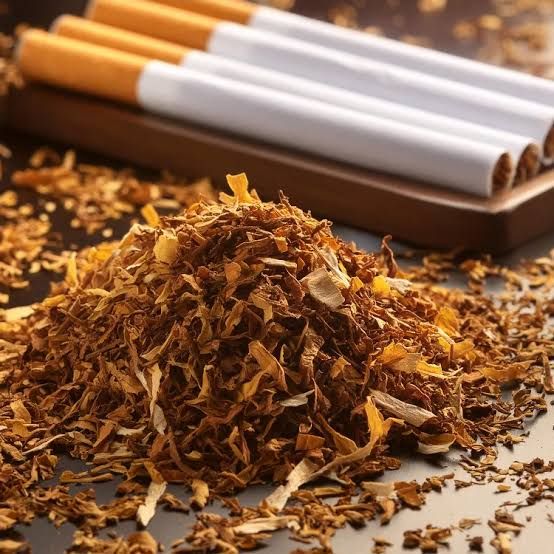 safe tobacco Busting the Myth of Safe Tobacco
