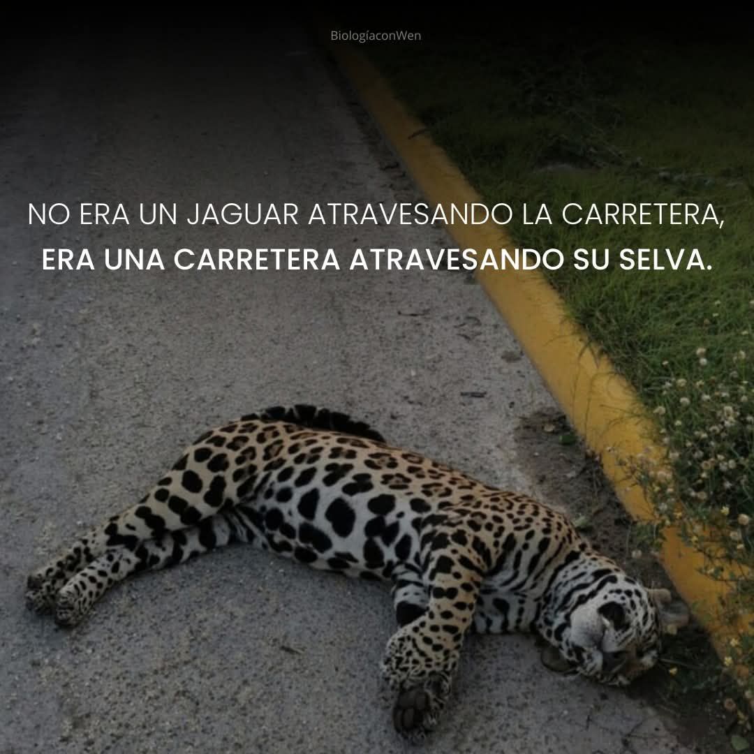 Biología Con - 