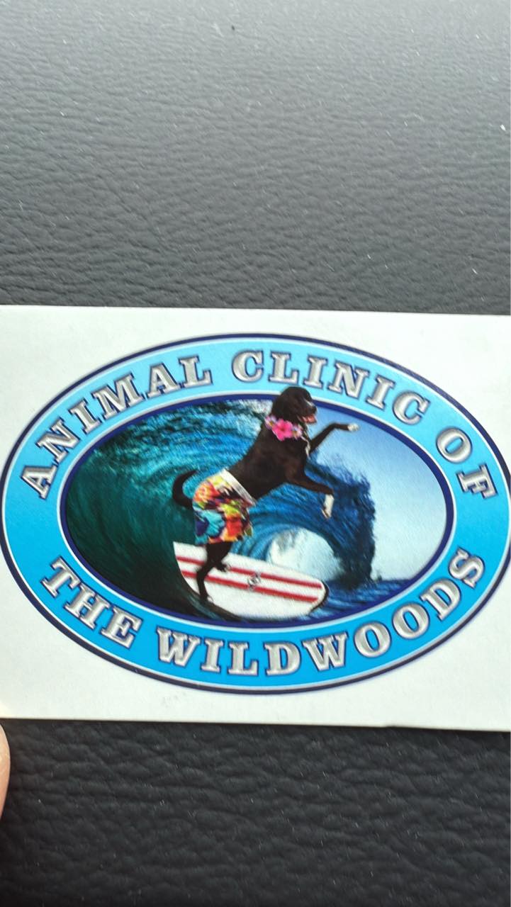 Recommendation for compassionate vet Dr at Animal Clinic of Wildwoods