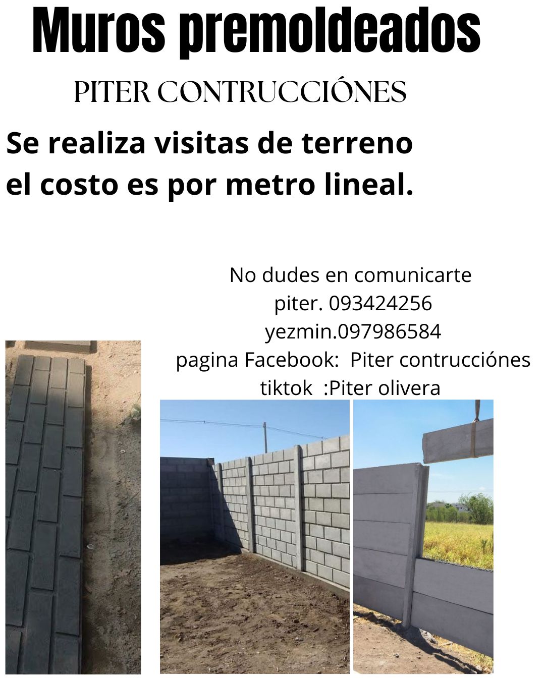 Piter contrucciónes | Manga Toledo Chico