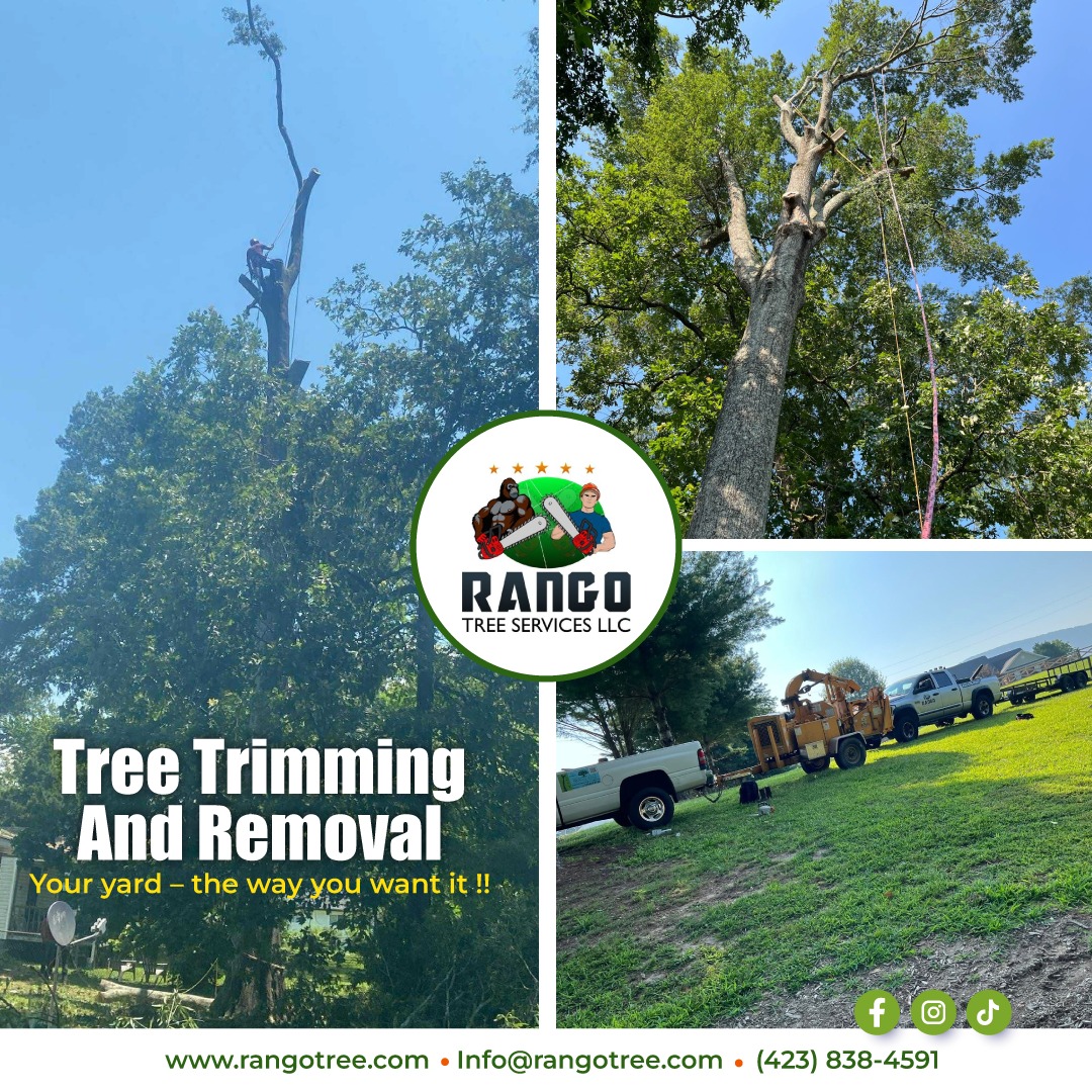 Rango Tree Services LLC | Chattanooga TN