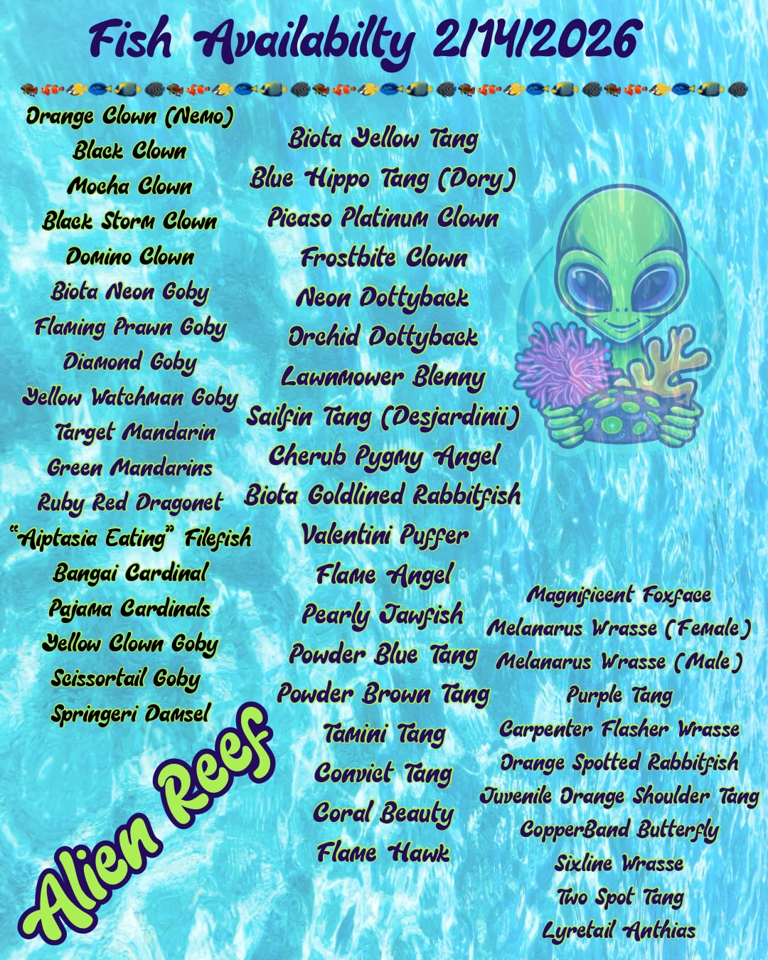 Alien Reef | Port Charlotte FL