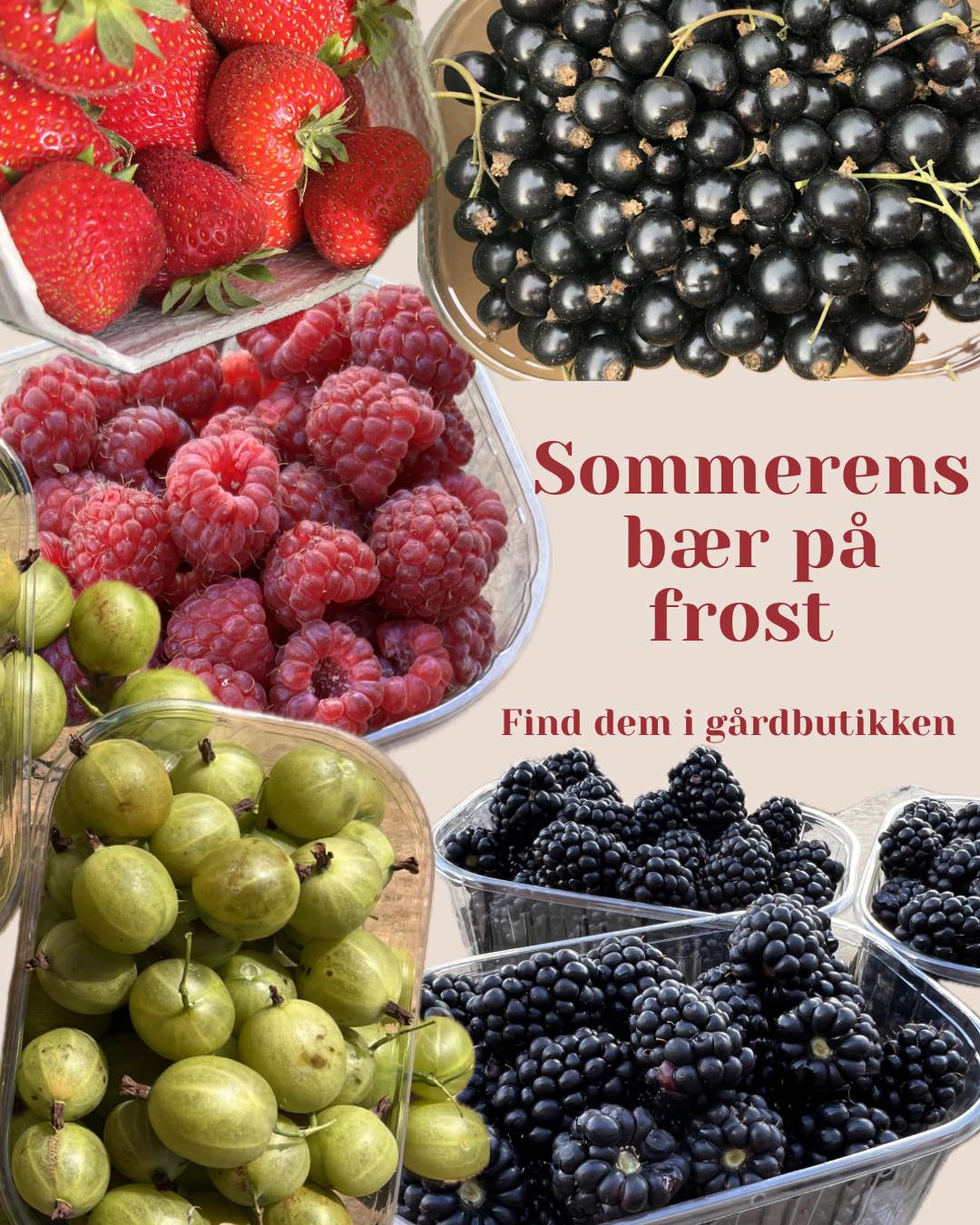 Ullemose - 🍓 Masser af sommerens lækre bær på frost i gårdbutikken! 🍓 ...