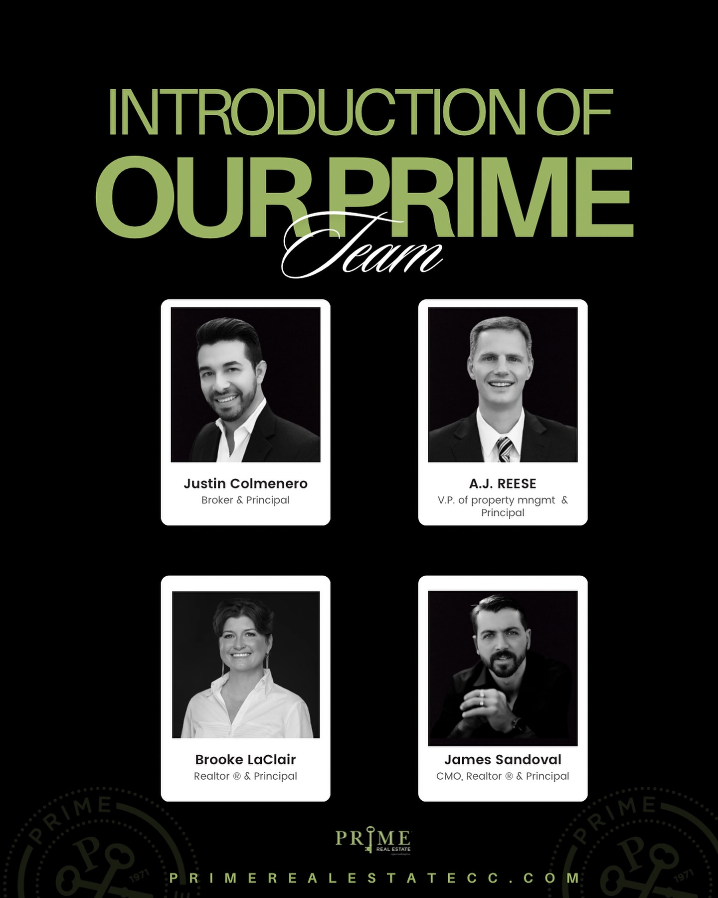 Meet the Prime Real Estate team! 🌟🏡... - Prime Real Estate | Facebook