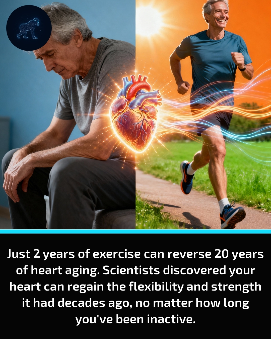 Evolved - Your heart has a rewind button, and science just proved it ...