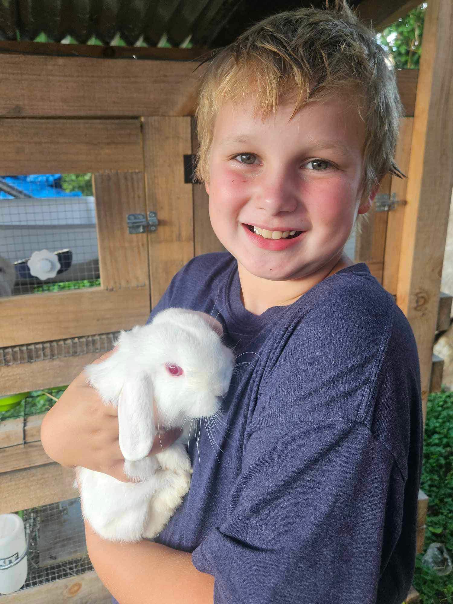 Look at all of these cuties!! Did... - Iron County MO Fair | Facebook